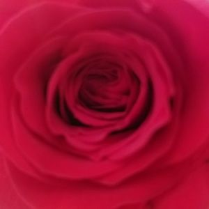 Make me an offer,  bundle and save $$